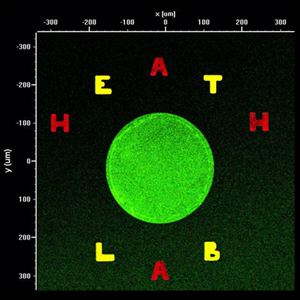 HeathLab spots