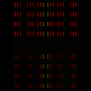 Barcode microarray
