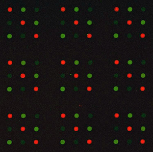 DNA Microarray